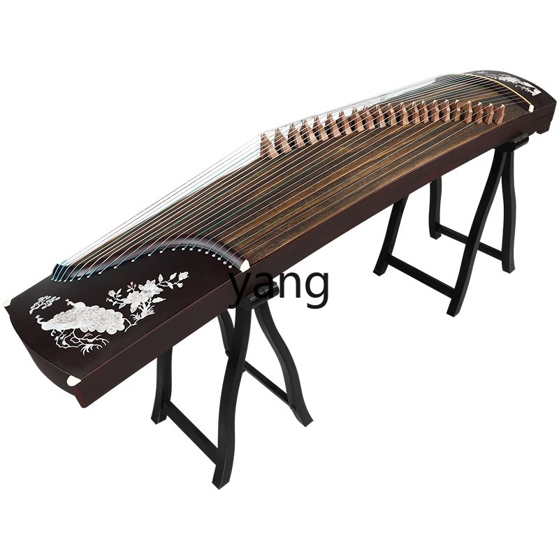 Musical Instrument Guzheng - test entry level 10 playing professional