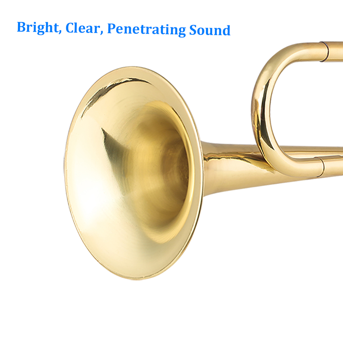 Brass C Bugle Call Gold-Plated - Musical Instrument Bugle review and price