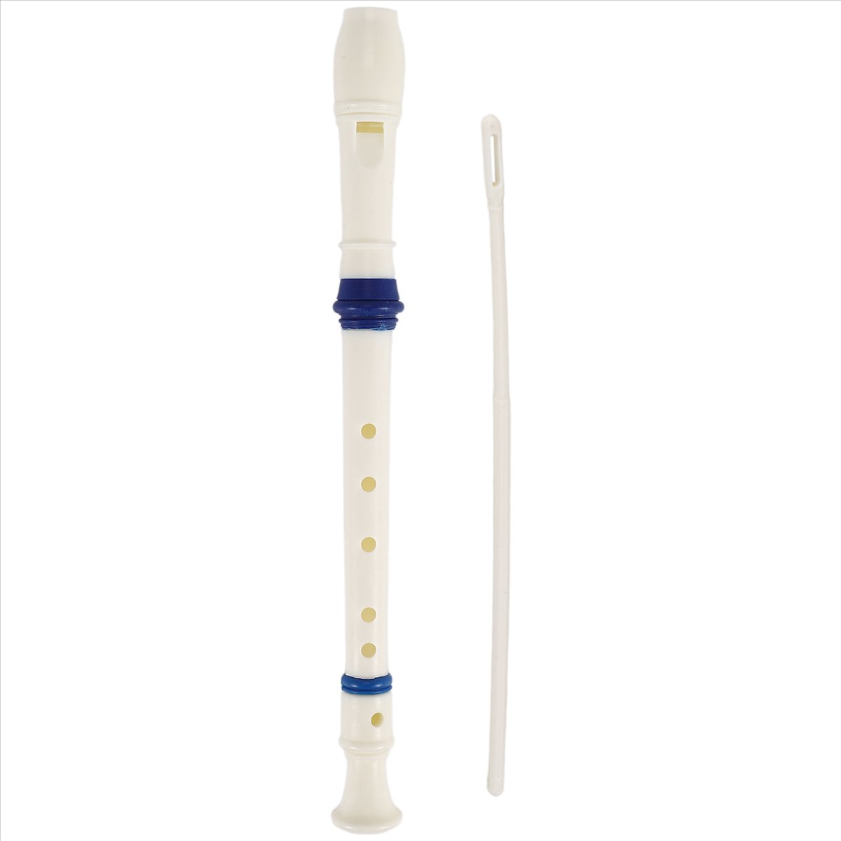 ABST Music Instrument 6 Holes  - Musical Instrument Flute review and price