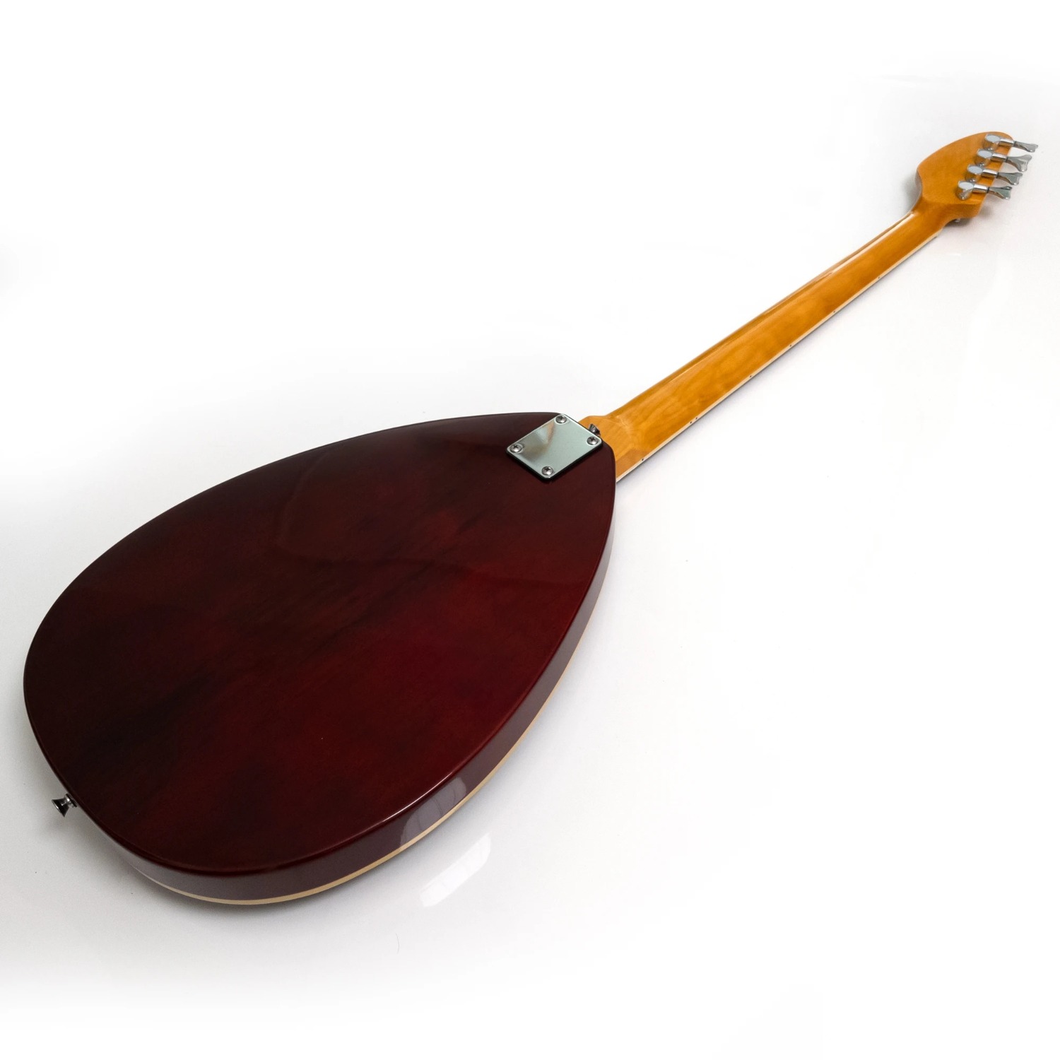 4 Strings Semi Hollow Body Ele - Bass Guitar Fretless review and price
