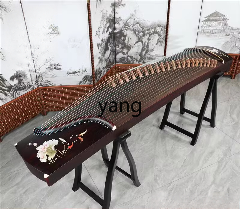 test entry level 10 playing pr - Musical Instrument Guzheng review and price