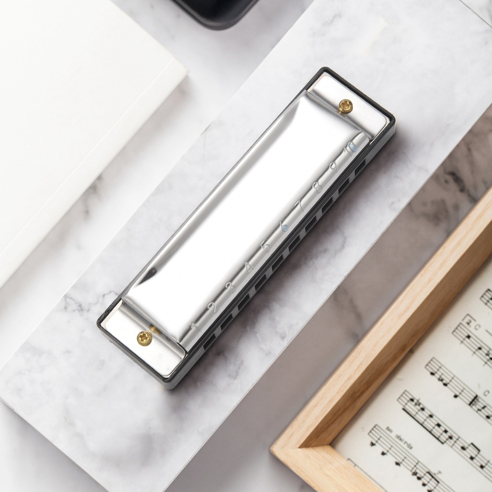 ABXY 10 Holes Blues Harmonica  - Musical Instrument Organ review and price