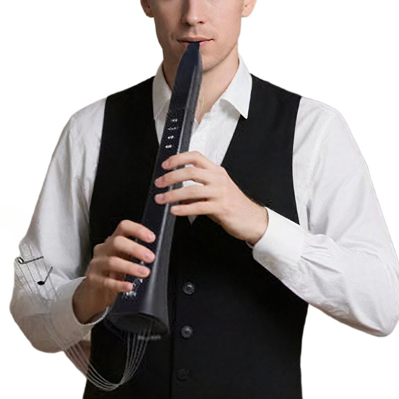 Portable Electronic Wind Instr - Musical Instrument Of review and price