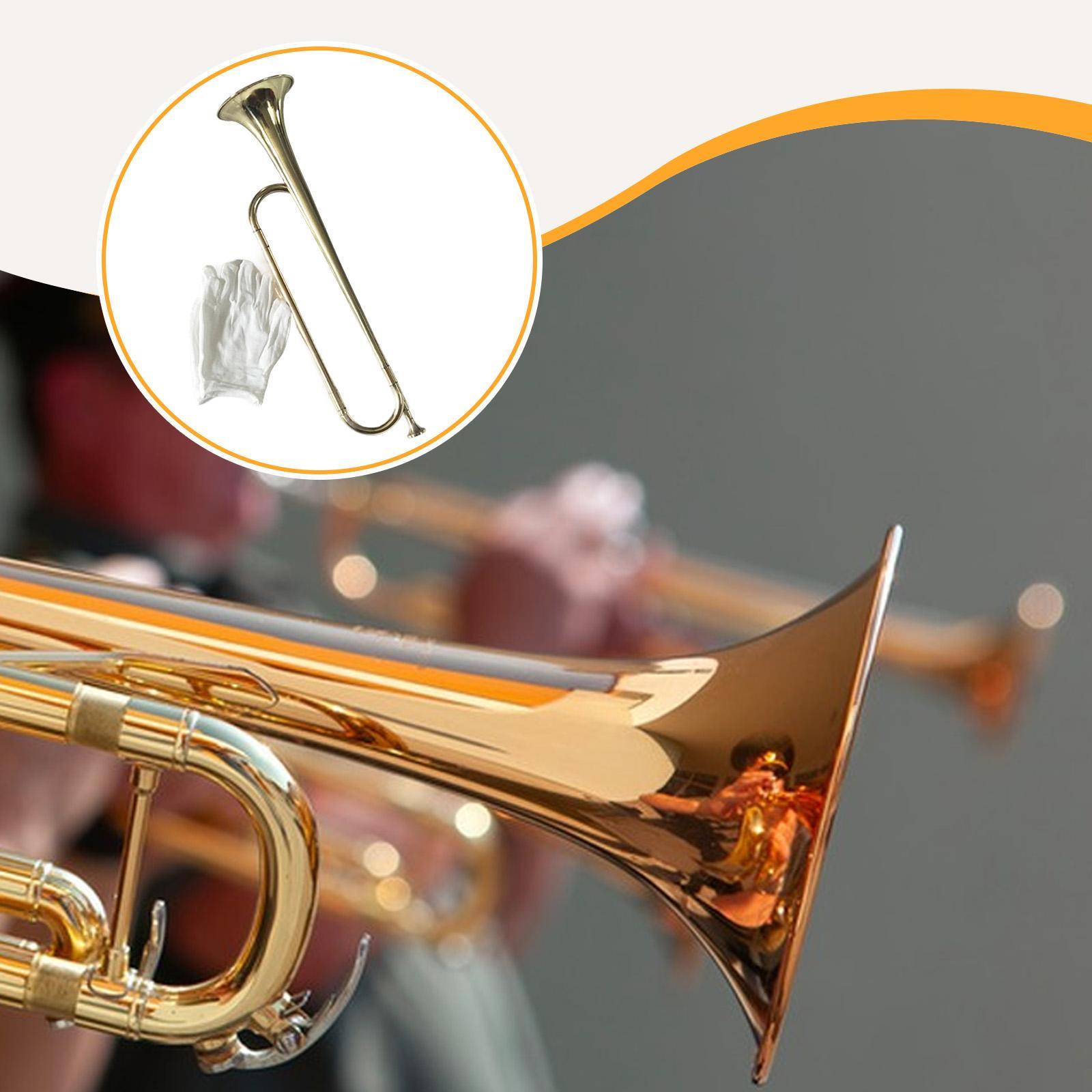 Bugle Musical Instrument Profe - Musical Instrument Bugle review and price