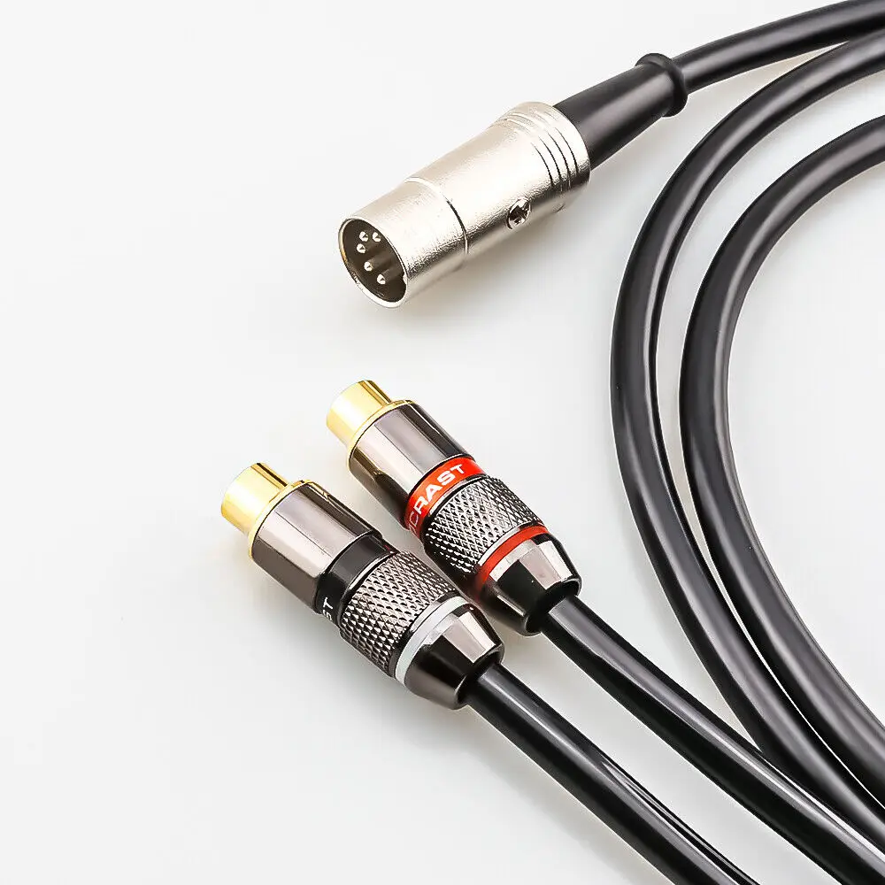 5-Pin Din Male to 2-RCA Female - Musical Instrument Image review and price