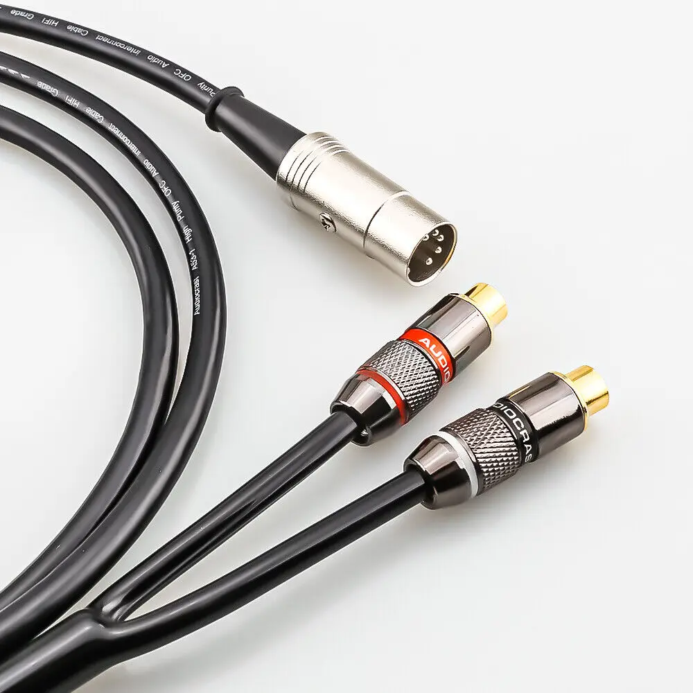 5-Pin Din Male to 2-RCA Female - Musical Instrument Image review and price