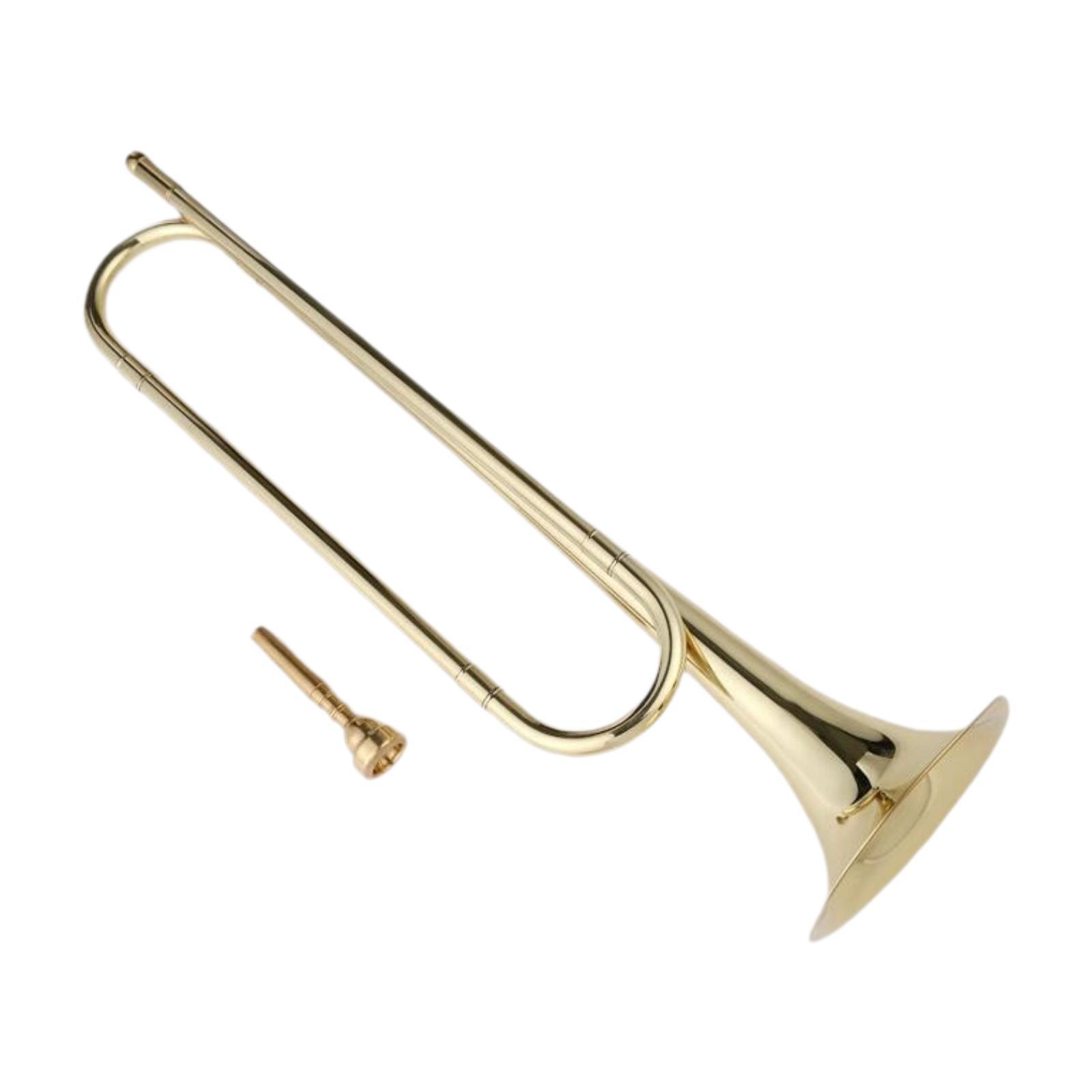 B Flat Bugle Young Team Bugle  - Musical Instrument Bugle review and price