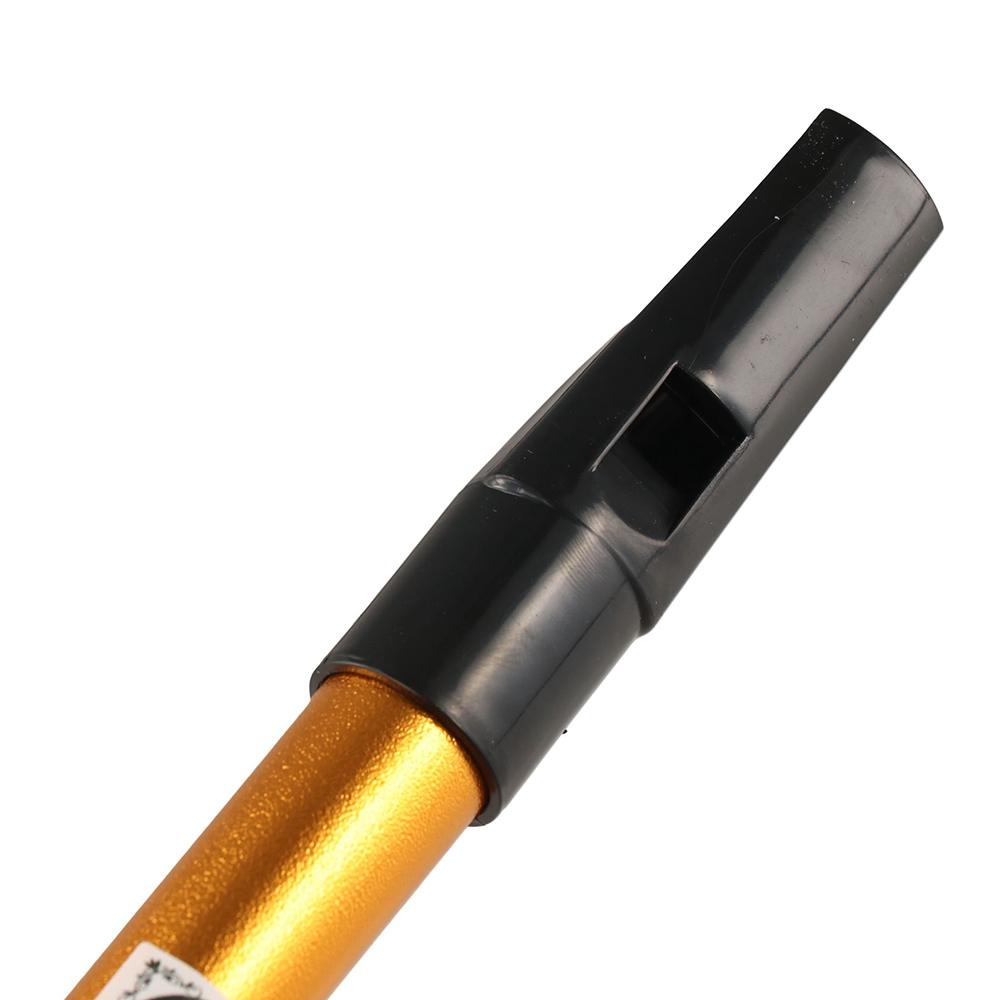 Musical Accessories 6 Hole Iri - Musical Instrument Flute review and price
